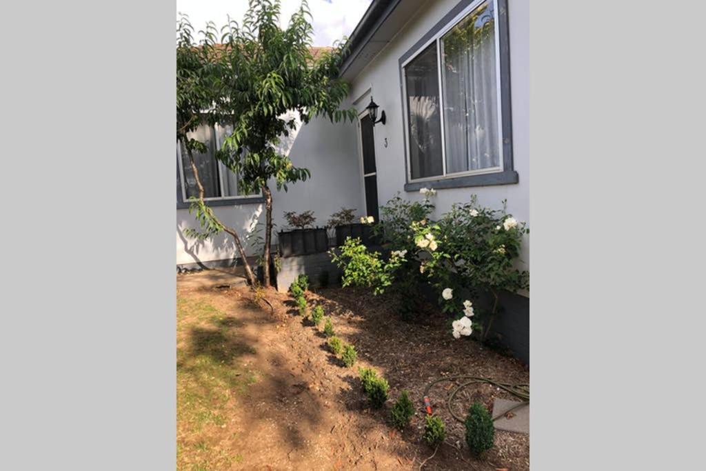 Character Cottage In Berrima Exterior photo